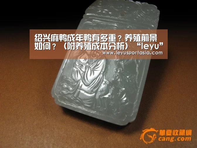 绍兴麻鸭成年鸭有多重？养殖前景如何？（附养殖成本分析）“leyu”(图1)