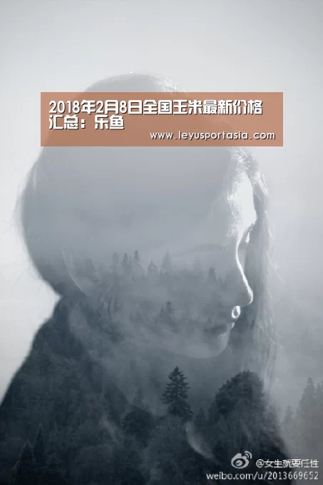 乐鱼体育官方网站