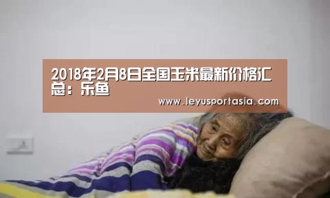 乐鱼体育官方网站