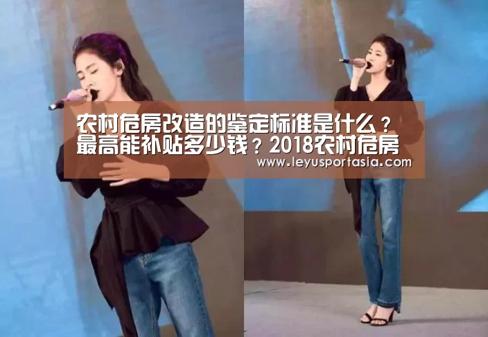 农村危房改造的鉴定标准是什么？最高能补贴多少钱？2018农村危房改造补助标准-乐鱼体育官方网站(图4)