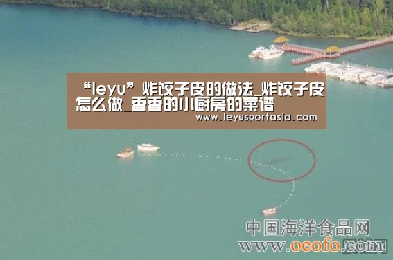 “leyu”炸饺子皮的做法_炸饺子皮怎么做_香香的小厨房的菜谱(图1) 乐鱼