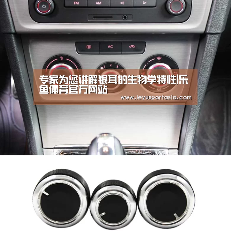 乐鱼