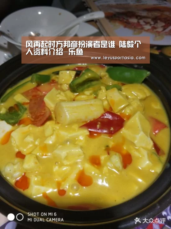 风再起时方邦彦扮演者是谁 陆毅个人资料介绍-乐鱼(图4) 乐鱼体育官方网站