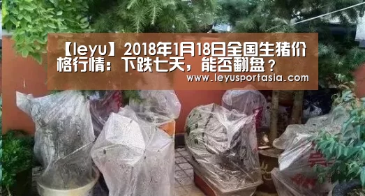 【leyu】2018年1月18日全国生猪价格行情：下跌七天，能否翻盘？(图1)