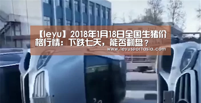 乐鱼体育官方网站