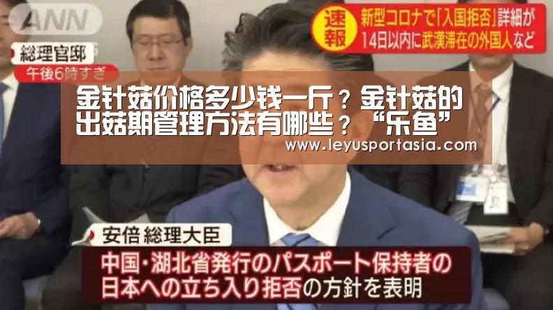 金针菇价格多少钱一斤?金针菇的出菇期管理方法有哪些?“乐鱼”(图2) 金针菇价格多少钱一斤?金针菇的出菇期管理方法有哪些?“乐鱼”(图2)