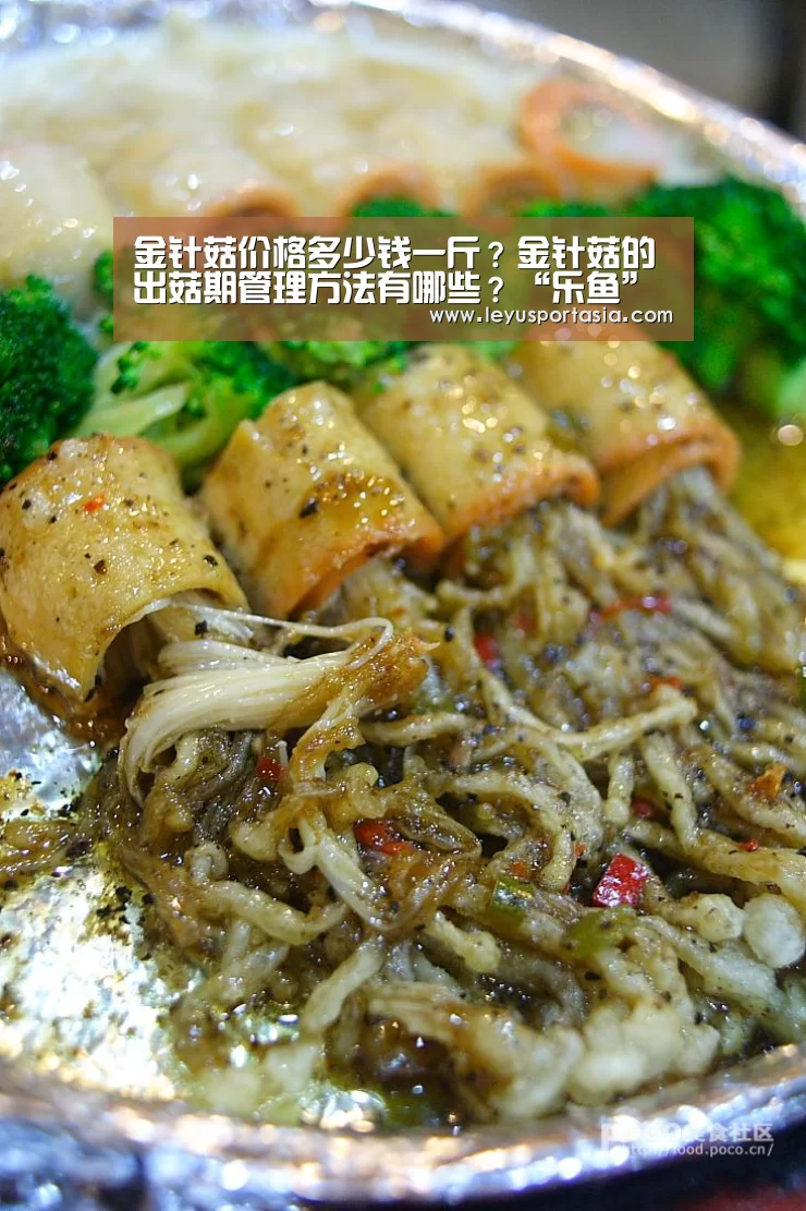 金针菇价格多少钱一斤?金针菇的出菇期管理方法有哪些?“乐鱼”(图1) 乐鱼