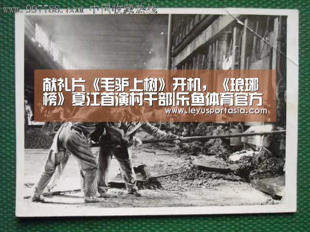 献礼片《毛驴上树》开机,《琅琊榜》夏江首演村干部|乐鱼体育官方网站(图3) 乐鱼体育