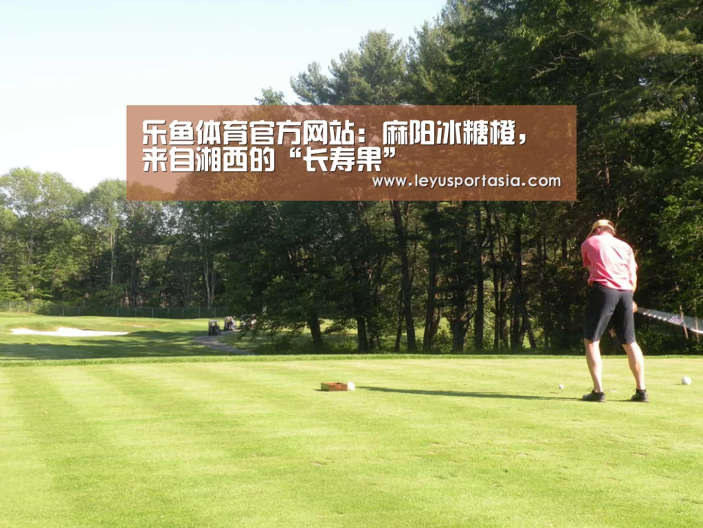 乐鱼体育官方网站：麻阳冰糖橙，来自湘西的“长寿果”(图1)