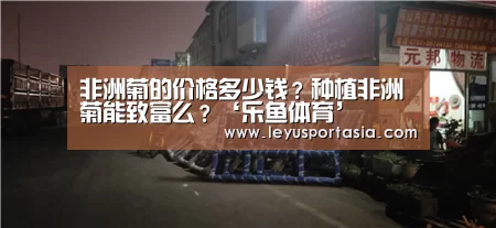 非洲菊的价格多少钱?种植非洲菊能致富么?‘乐鱼体育’(图1) 乐鱼体育官方网站