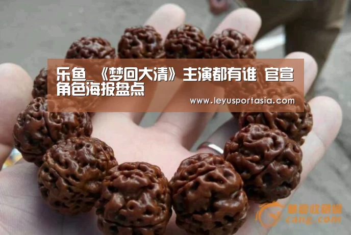 乐鱼_《梦回大清》主演都有谁 官宣角色海报盘点(图1) 乐鱼_《梦回大清》主演都有谁 官宣角色海报盘点(图1)