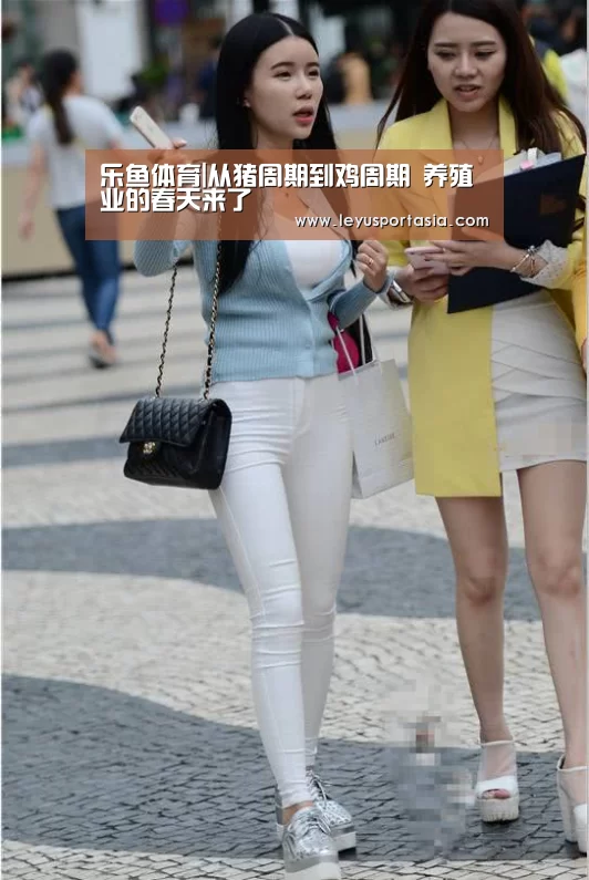 乐鱼体育|从猪周期到鸡周期 养殖业的春天来了(图3) 乐鱼
