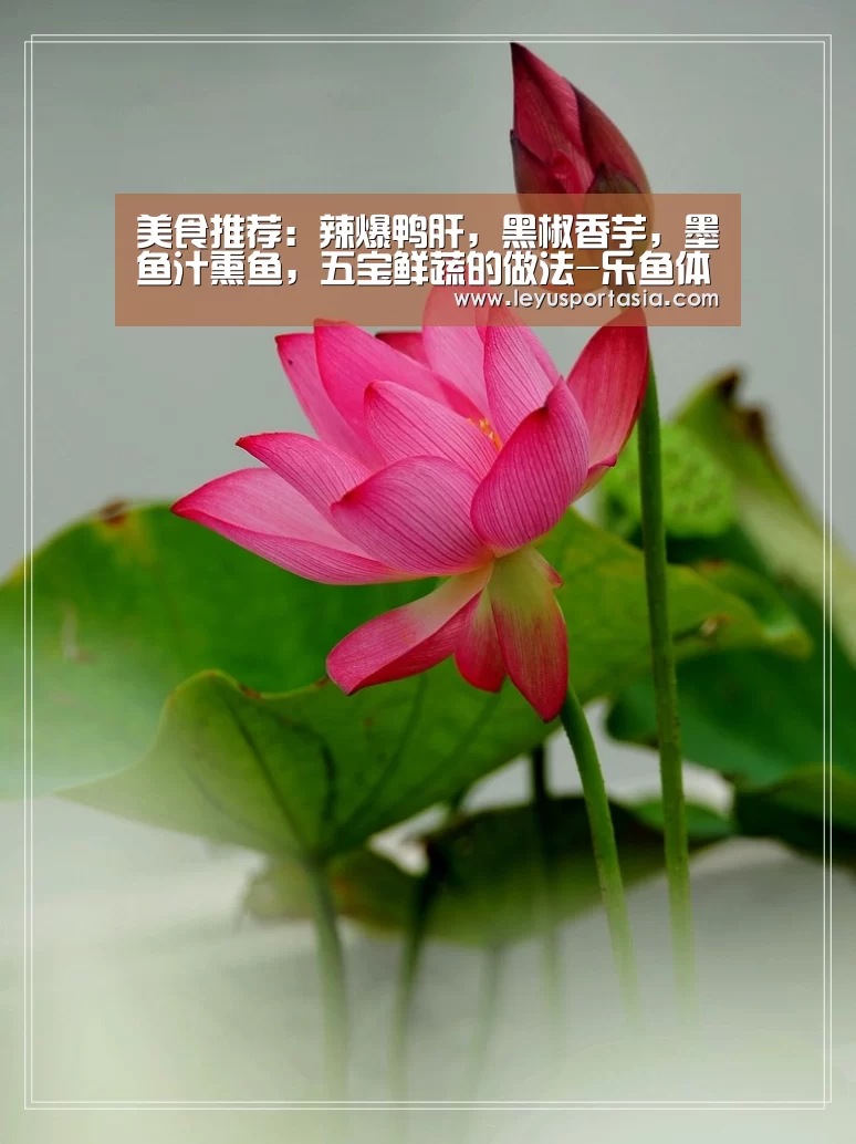 美食推荐：辣爆鸭肝，黑椒香芋，墨鱼汁熏鱼，五宝鲜蔬的做法-乐鱼体育官方网站(图1)