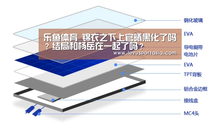 乐鱼