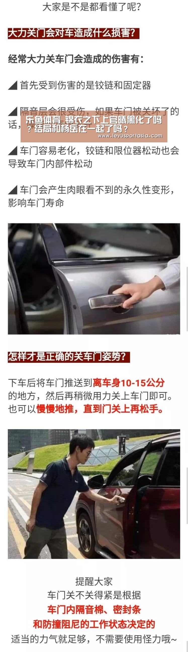 乐鱼